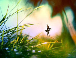 手机号轰炸业务网